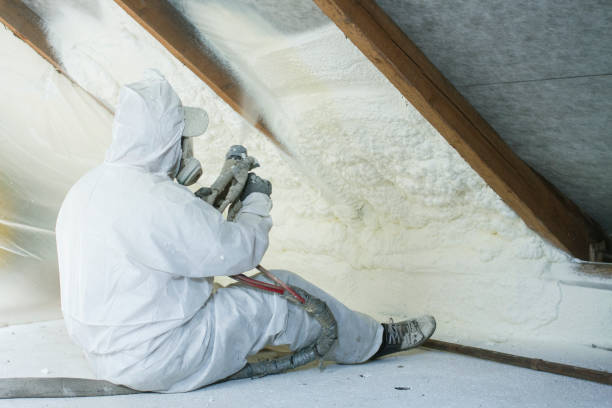 Best Insulation Air Sealing in St Louis, MO